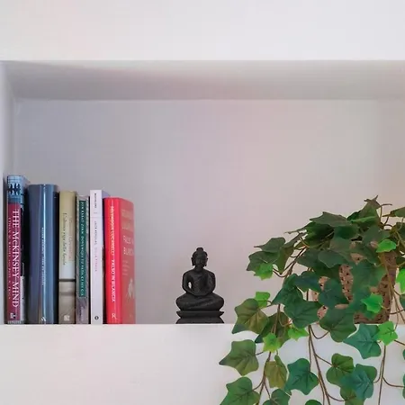Apartamento Deluxe Carlo A 2 Min Museo Egizio